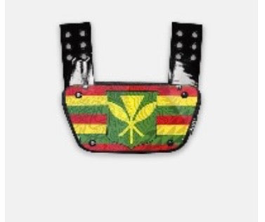 Aloha State Football Backplate