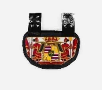 Aloha State Football Backplate
